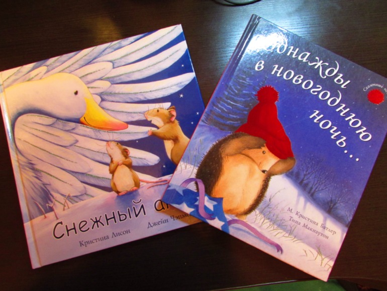 Наши зимние книжечки