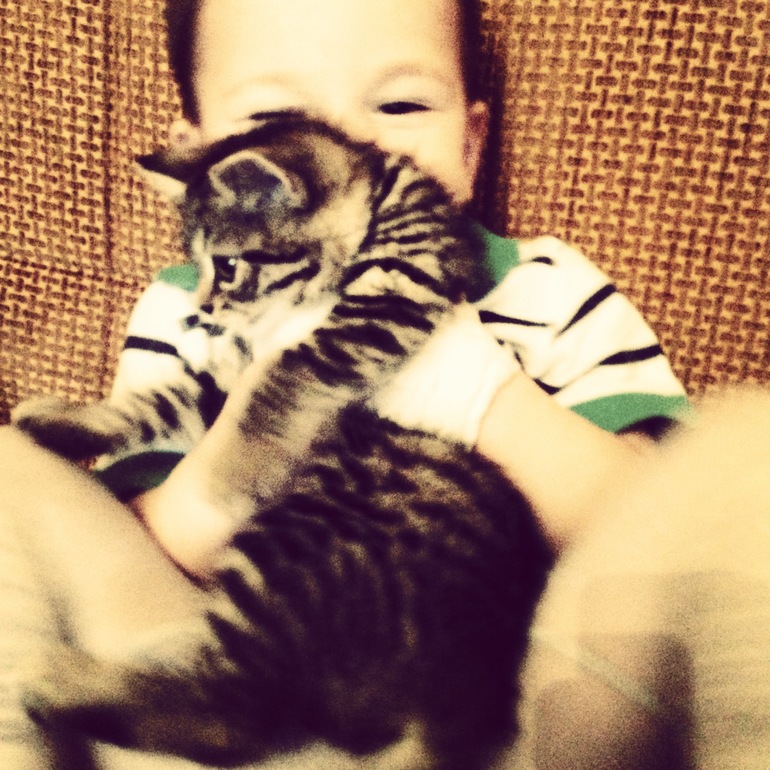 Приучение к туалету..мы все там же