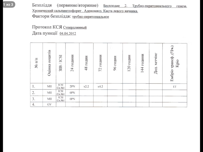 Девочки нужна ваша помощь!!!! Помогите рашифровать : качество эмбрионов и як