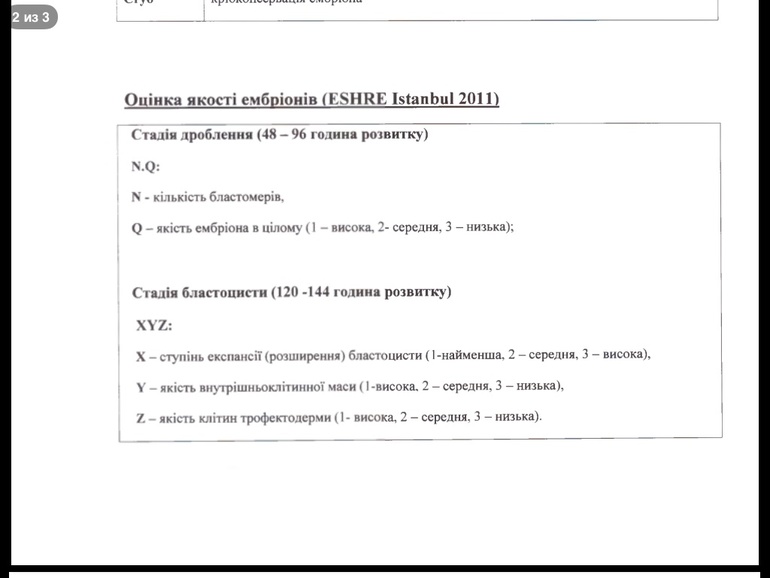 Девочки нужна ваша помощь!!!! Помогите рашифровать : качество эмбрионов и як