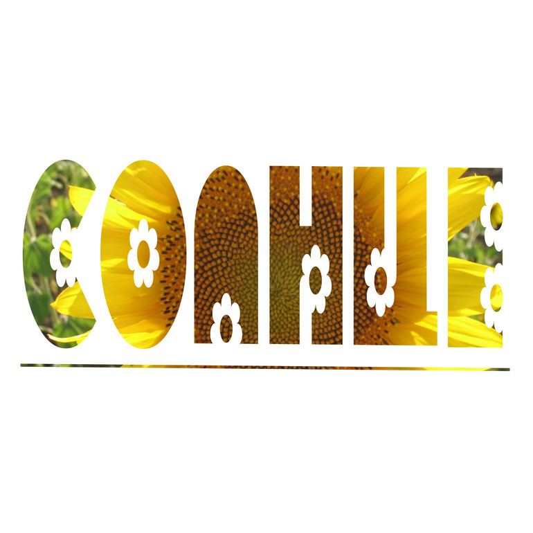 Контрольное задание № 9. Использование масок слоев