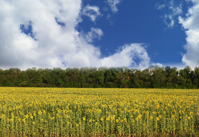 Контрольное задание № 9. Использование масок слоев