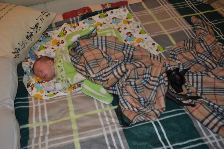 Ребенок и щенок