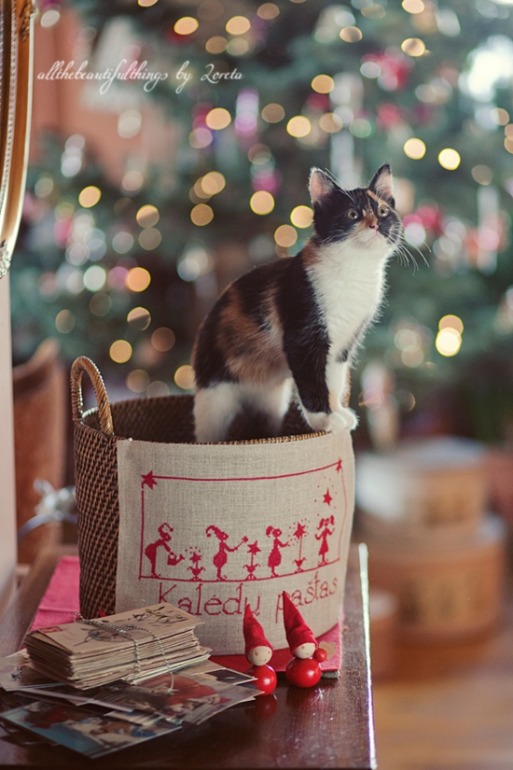 Новогоднее настроение