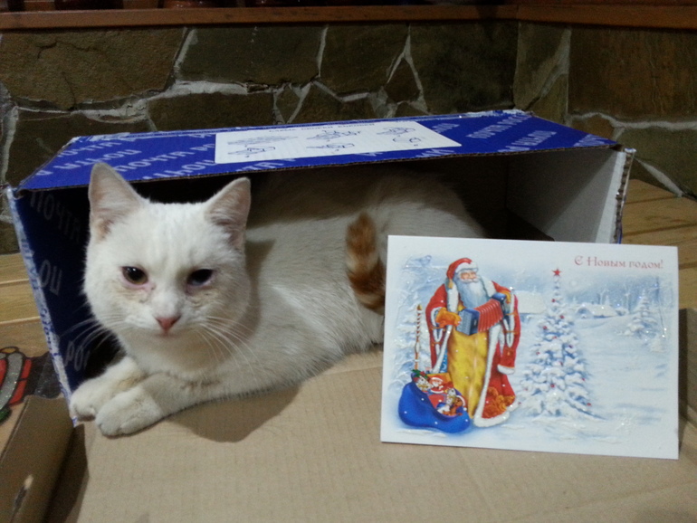 Фото моей посылочки от Танюшки