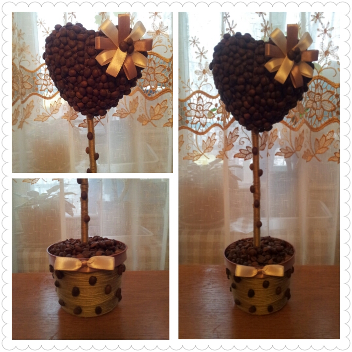 Моё первое кофейное деревце.