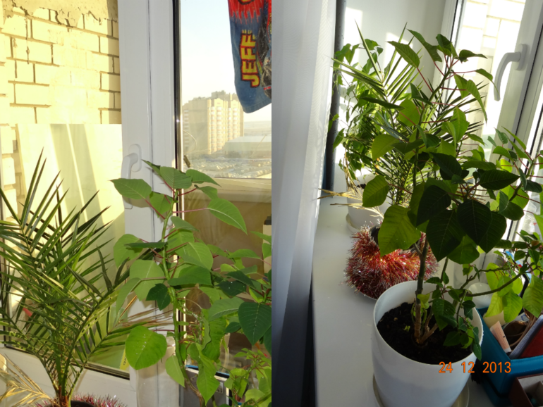 Взлет 69/ день 17