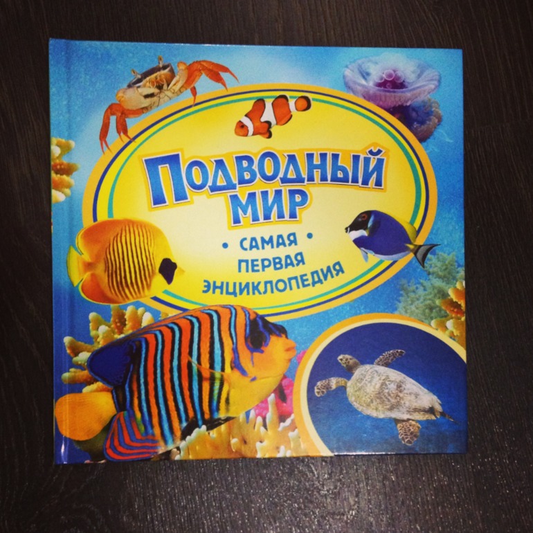 Сенсорная коробочка желейная