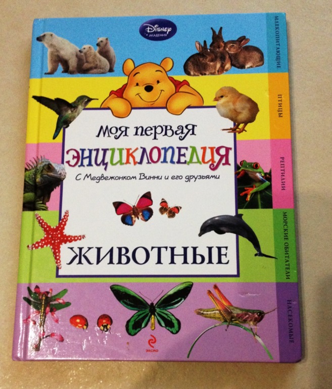 Сенсорная коробочка желейная
