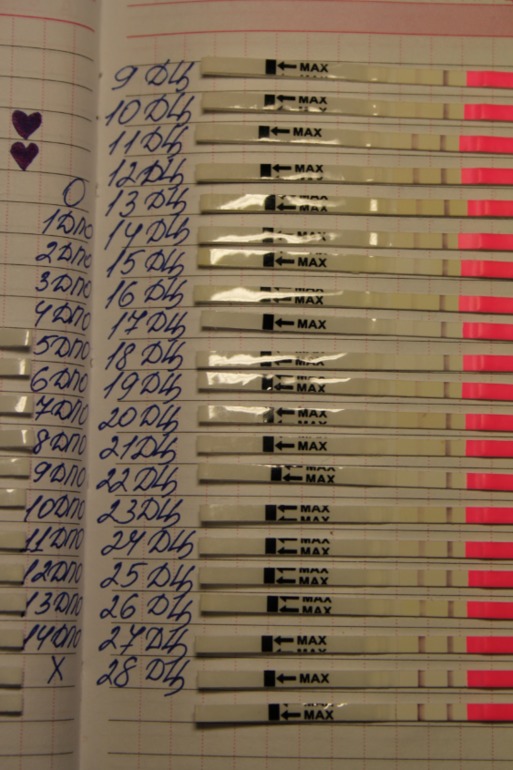 Моя история зачатия:) с графиком и тестами