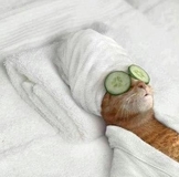 Вот и моя Снегурка добралась до меня!!!!!