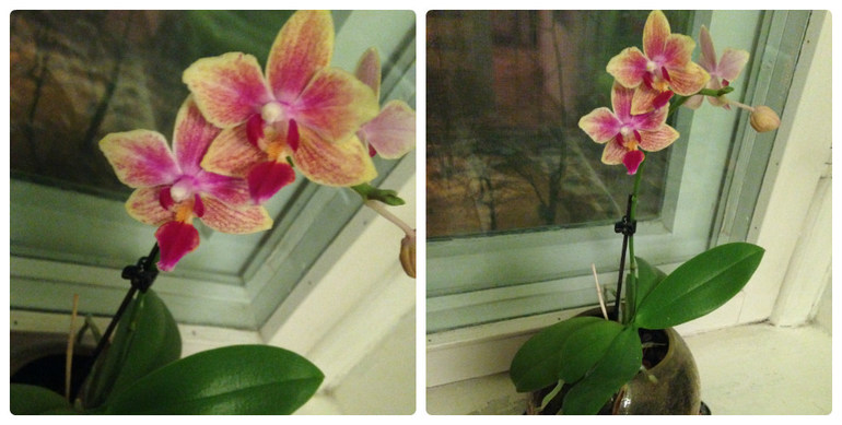 Взлет 69. Дни 15-16.