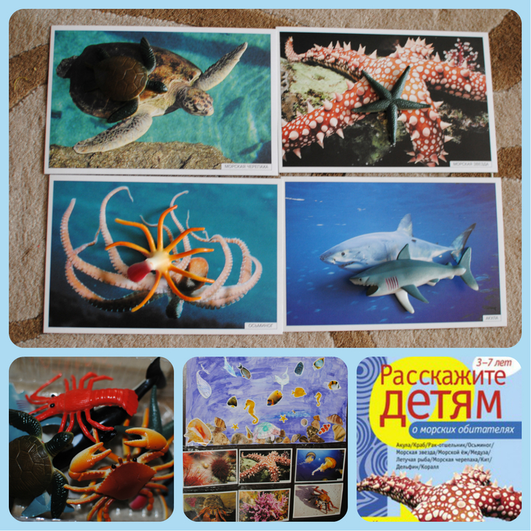 ТН Море 1.8