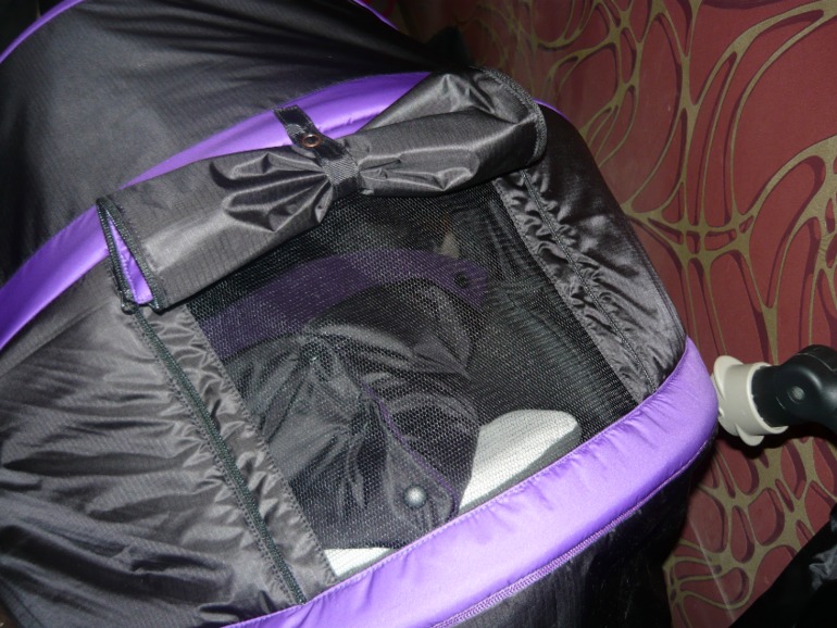 Зимник на Jane Nomad