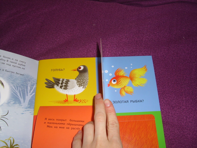 Отчет о лотереи №24