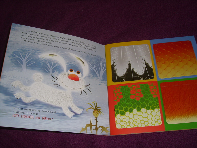 Отчет о лотереи №24