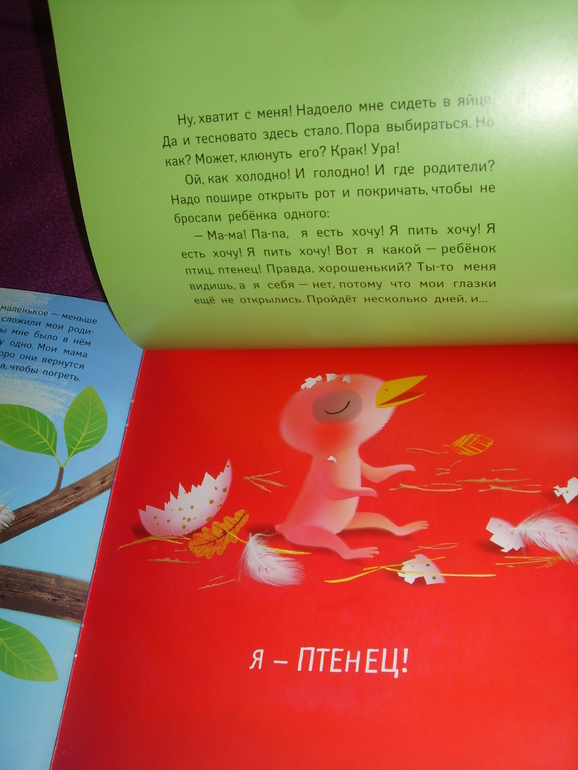 Отчет о лотереи №24