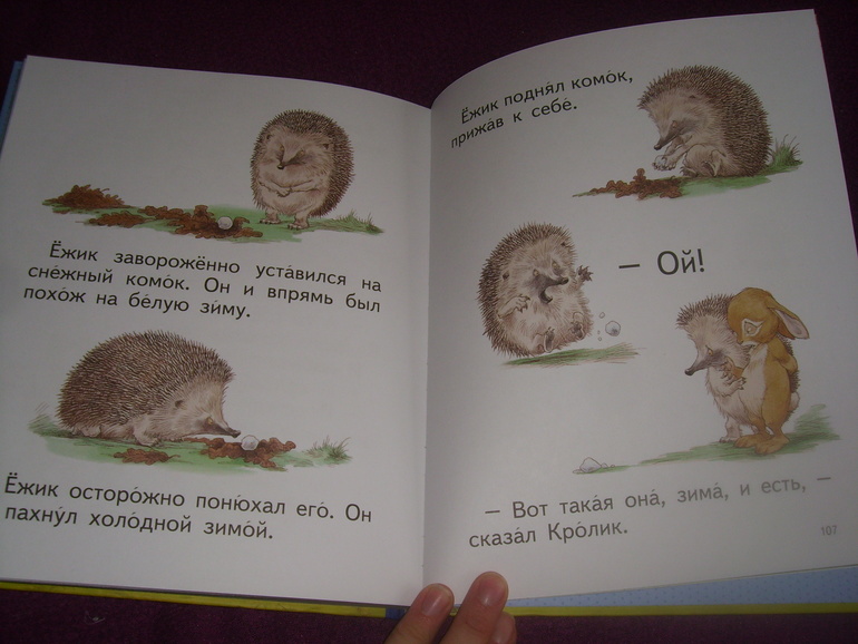 Отчет о лотереи №24