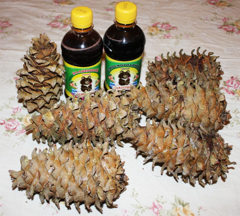 Спасибо нашей Фее.