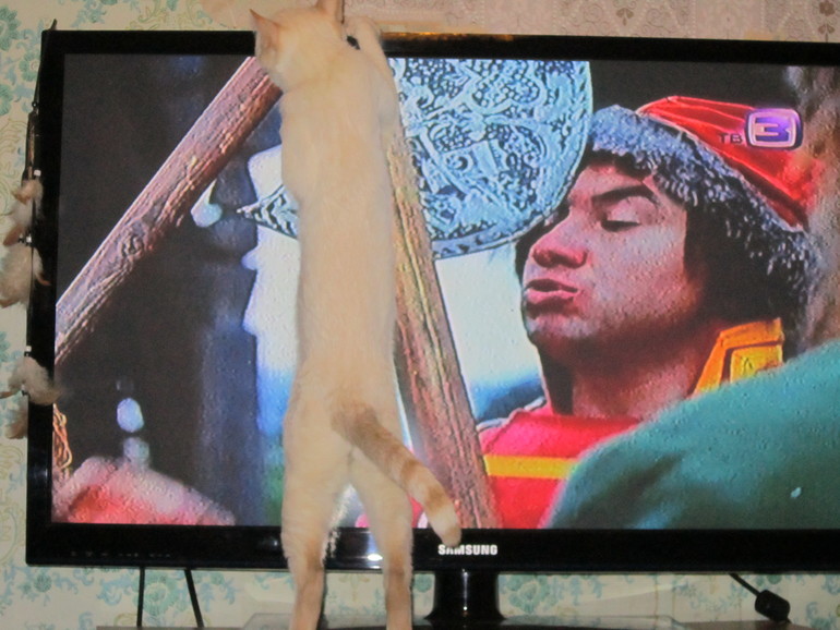 Наш выбражалка. Часть вторая.