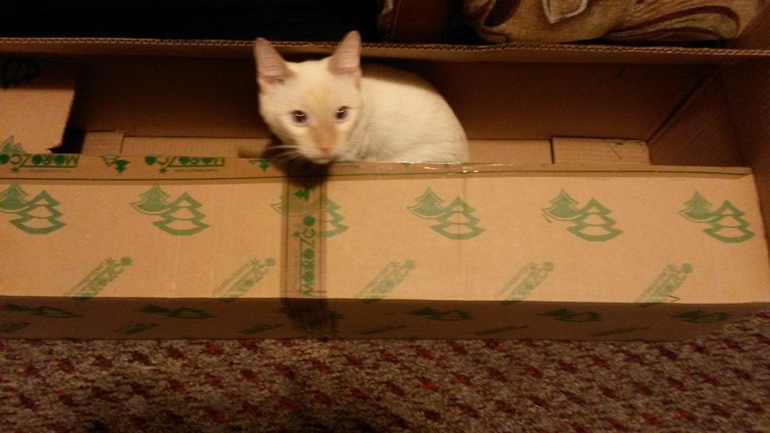 Наш выбражалка. Часть вторая.