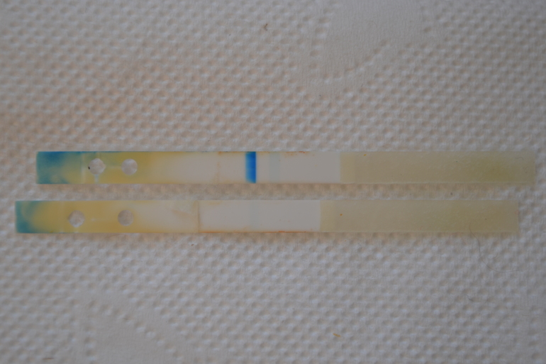 Кто разбирал электронный тест clearblue?Я там увидела вот что.