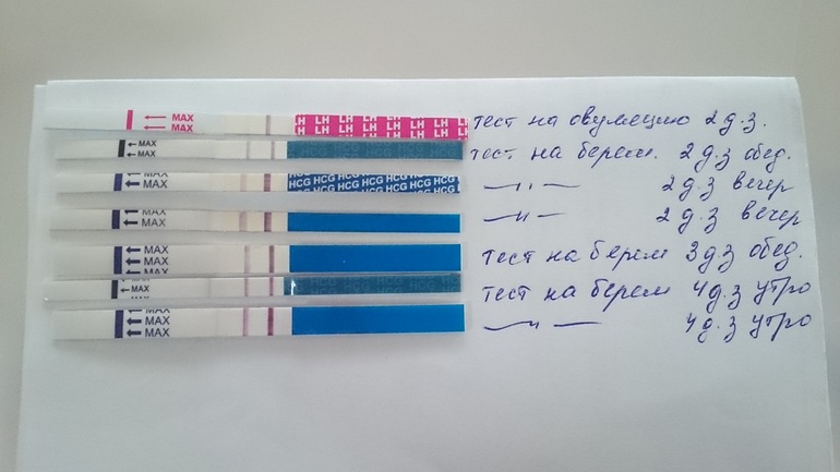 Если девушка беременна что покажет тест на овуляцию 64
