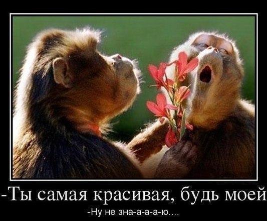 Приколы открытки будь моим Приколы открытки будь моим