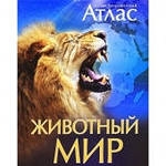 Книжный шкаф (наши книги)