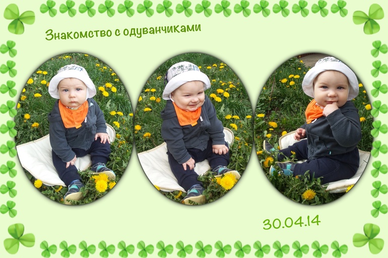 Одуванчики :)