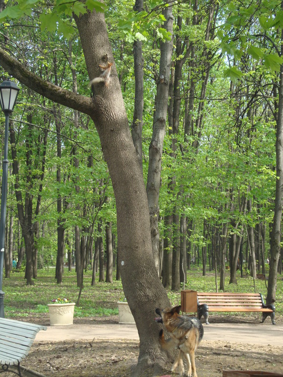 Мы сегодня