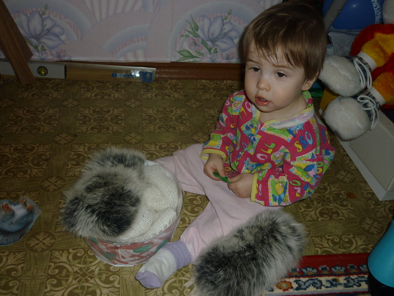 ТЗ Как живет зимой белочка