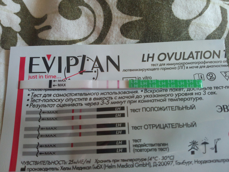 Овуля вот вот? правильно?