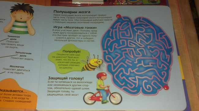 Научные игры