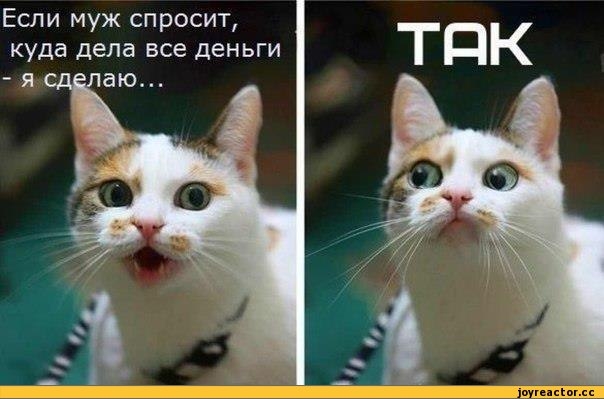 Про меня)))
