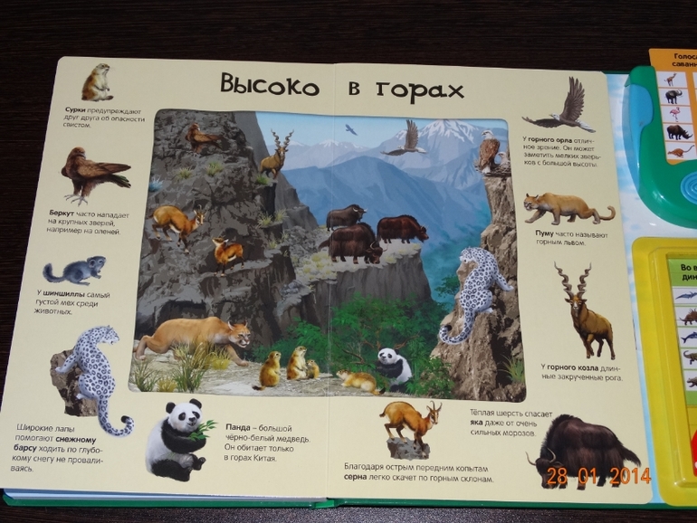 Замечательная книга по очень низкой цене!