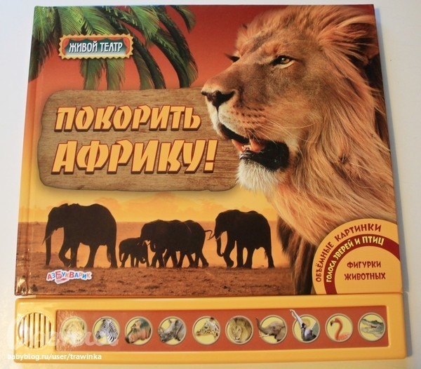 Очень красивые книги-панорамки.