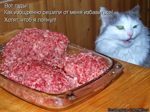 Юмор
