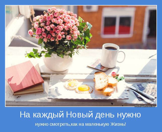 73 день 23