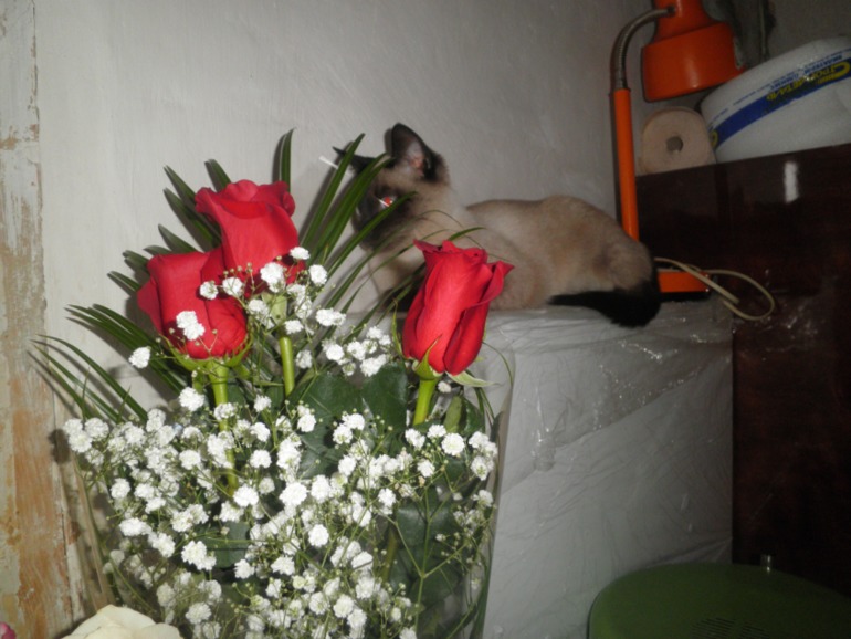 Отдохнули