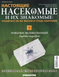 коллекция