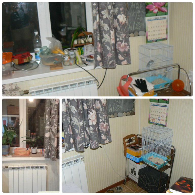 ФЛ 67/Диплом