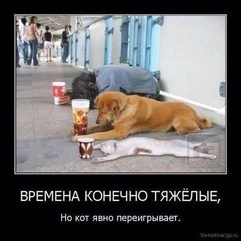 Юмор