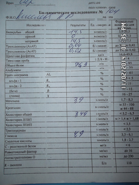 Анализ крови на биохимию