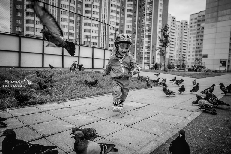 Конец лета, велосипед и голуби ...