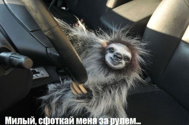 Ржака :)