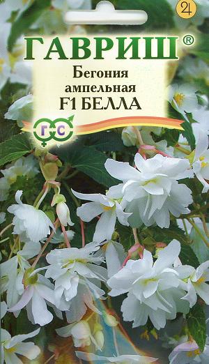 Большой посев прошел у меня сегодня