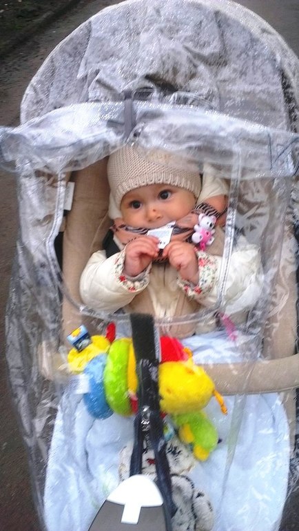 Моя любовь Stokke Xplory v4 Beige melange