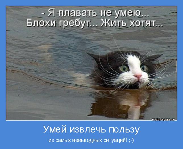 ОЛИМПИЙСКИЙ МАРАФОН - 27 день. Синхронное...