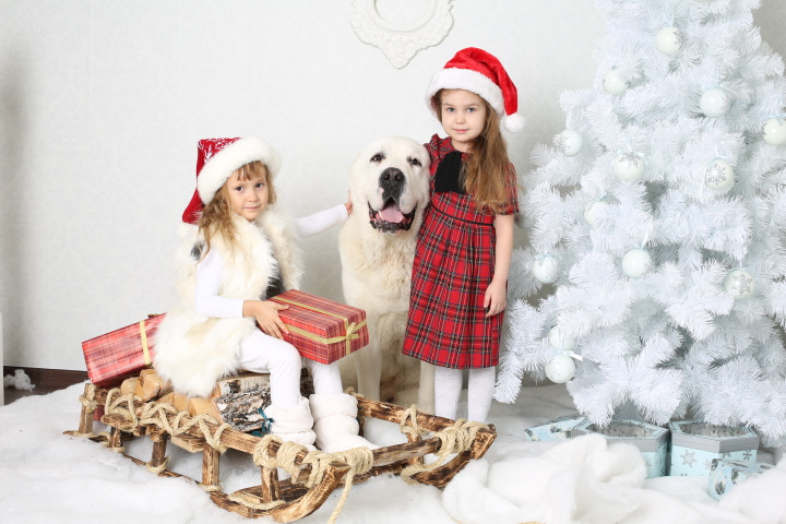 Зимняя фотосессия 2014) Продолжение)